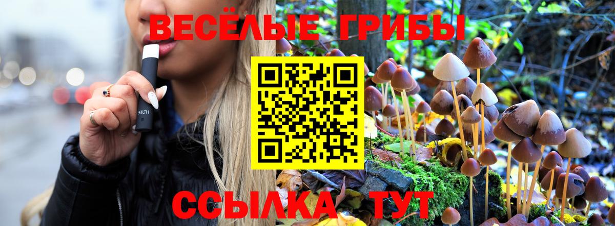 цена наркотик  Галлюциногенные грибы Magic Shrooms  Псилоцибиновые грибы GOLDEN TEACHER  Вход с VPN  Мурино 